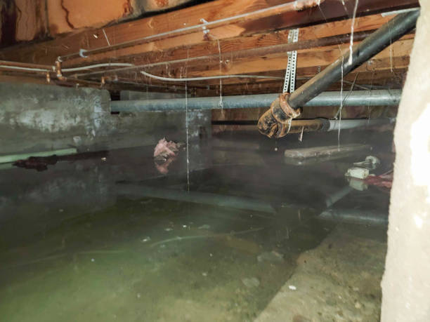 Best Ceiling water damage repair  in Cairo, GA