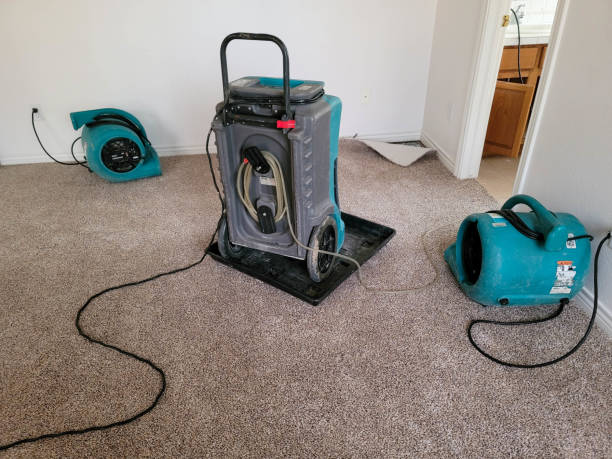 Best Water damage contractors near me  in Cairo, GA