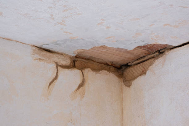 Best Fire Damage Restoration  in Cairo, GA