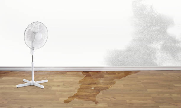 Best Flooded house restoration  in Cairo, GA