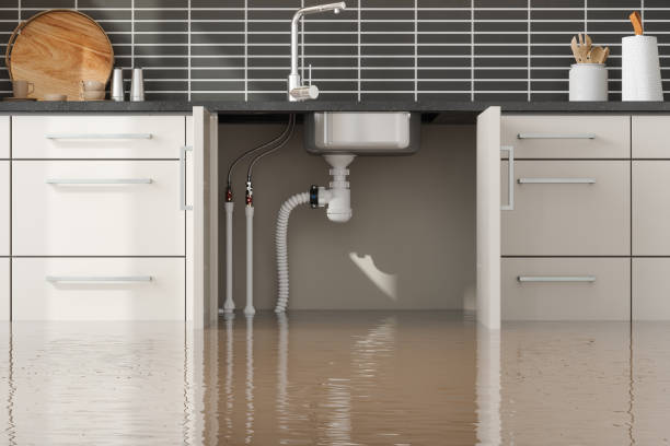 Best Sewage cleanup and water damage restoration  in Cairo, GA