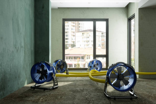 Best Water damage restoration cost  in Cairo, GA