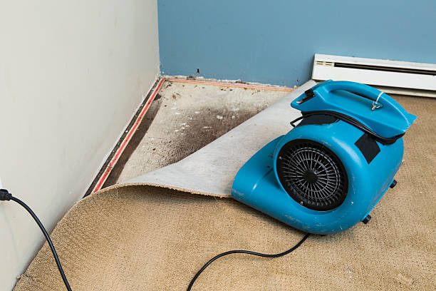 Best Professional water damage repair  in Cairo, GA